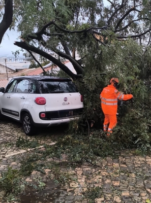 Depressão Kristin provoca mais de 250 ocorrências no concelho de Loulé