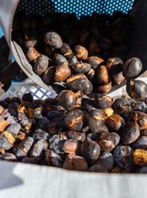 O verão de São Martinho celebra-se em Quarteira