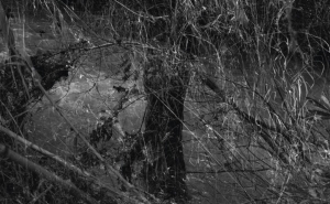 FOTÓGRAFO VASCO CÉLIO LEVA ODE À ESPERANÇA E ALEGRIA A LOULÉ