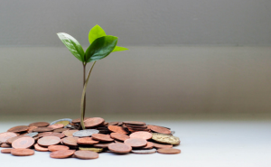 Prazos do IMI e IRS mantêm-se no estado de emergência