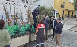 NO CONCELHO DE LOULÉ, PLANTARAM-SE E DISTRIBUIRAM-SE ÁRVORES