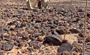 Equipa liderada por investigador da Universidade do Algarve pioneira em descoberta no deserto