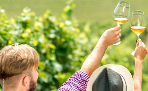 Plano de Formação + Próxima | março 2026 | «Marketing Estratégico para Enoturismo e Atividades Turísticas»  