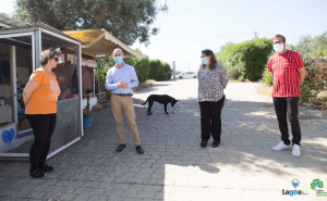 Associações de defesa da causa animal em Lagoa recebem a visita do Presidente da Câmara Municipal de Lagoa