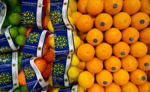  Citrinos do Algarve IGP no maior mercado de produtos frescos do mundo 