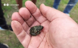 Oficina | Charcos como Ferramentas para a Educação Ambiental