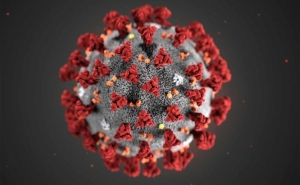 Covid-19: Cerca sanitária ao Algarve é decisão da tutela «ouvindo os autarcas» 