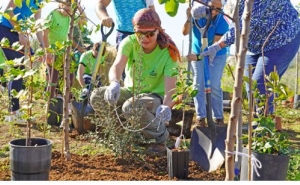 Zoomarine e Nativawaky plantam floresta Miyawaki em prol da regeneração do Algarve