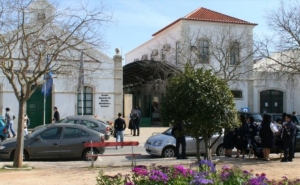 Estudantes de Turismo promovem evento solidário pela causa animal em Portimão