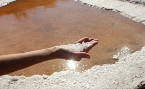 Legalmente protegida a denominação «Sal e Flor de Sal de Castro Marim»