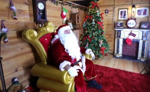 Portimão renova a magia de «Um Sonho de Natal» com novos eixos festivos à beira-rio