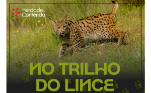 HERDADE DA CONTENDA | Percurso Pedestre «No Trilho do Lince» realiza-se a 14 de março