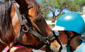 «LIVROS ABERTOS» EM LOULÉ RECEBE APRESENTAÇÃO DE «O CAVALO COMO RECURSO TERAPÊUTICO»