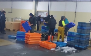 Polícia marítima apreende cerca de 600kg de pescado em Portimão