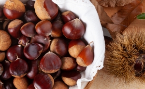 ALBUFEIRA CELEBRA O SÃO MARTINHO COM MAGUSTOS POR TODO O CONCELHO