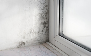 Obras em casa: quais os materiais resistentes à humidade?