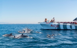 AlgarExperience reforça presença na Marina de Albufeira com aquisição da X Ride