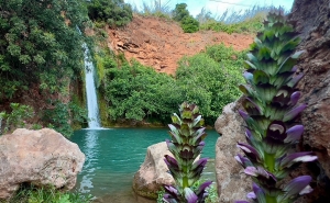 «Águas dAlte - Passeio Pedestre Guiado no Geoparque Algarvensis» revela o território que está a conquistar reconhecimento mundial.