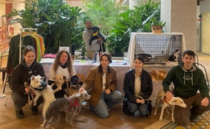 ARA fecha 2025 com resgates, adoções e denúncias de maus-tratos no Algarve