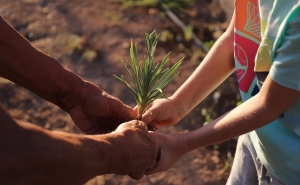 Tavira: Hortas comunitárias e Jardins Alimentares fomentam resiliência alimentar, educação ambiental e cidadania ativa