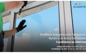 Eficiência Energética em Edifícios Públicos em territórios Rurais e de Baixa Densidade