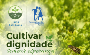 Banco Alimentar do Algarve quer expandir projeto ambiental a vários concelhos