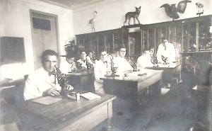 Exposição MATERIALIDADE(S) DA APRENDIZAGEM: PATRIMÓNIO ESCOLAR DO LYCEU DE FARO 