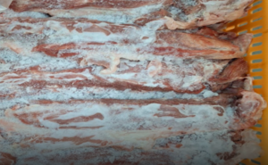 ASAE deteta graves irregularidades em sala de desmancha de carnes