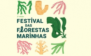 UAlg e Município de Vila do Bispo organizam Festival das Florestas Marinhas
