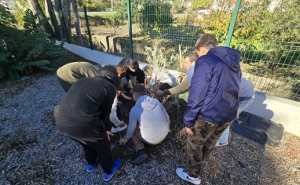 LOULÉ CELEBROU DIA DA FLORESTA AUTÓCTONE COM PARTICIPAÇÃO DA COMUNIDADE ESCOLAR