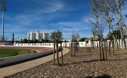 INTERVENÇÃO ADAPTA ESTÁDIO MUNICIPAL DE LOULÉ AOS EFEITOS DE ILHAS DE CALOR URBANO