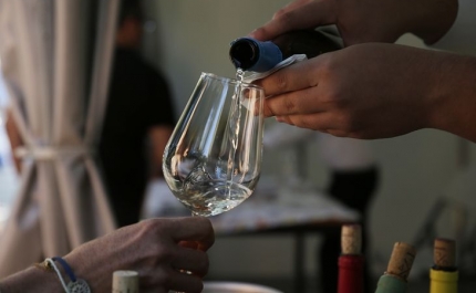  Tavira promove prova de vinho e rota da empreita de palma