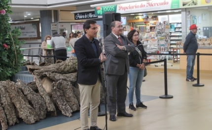 O NATAL REGRESSA AO MERCADO: INAUGURAÇÃO DA ÁRVORE E ILUMINAÇÃO DE NATAL, DOMINGO, 26 DE NOVEMBRO, ÀS 10:30