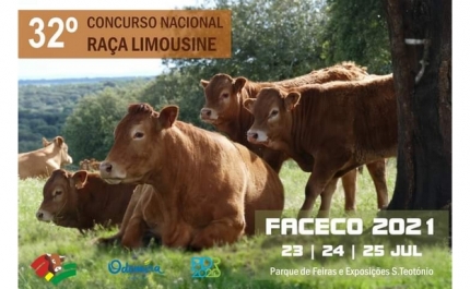 32º Concurso Nacional da Raça Limousine | S. TEOTÓNIO RECEBE CONCURSO NACIONAL DA RAÇA LIMOUSINE