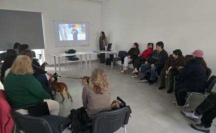 Terapia com Patas: Sessão em Quarteira sublinha o Poder Curativo dos Animais e a Importância da sua Proteção 