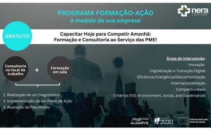 Programa de Formação-Ação | Consultoria e Formação Financiadas dirigidas às PME do Algarve