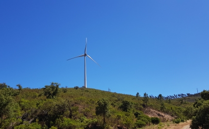 Plataforma ambiental opõe-se à modificação de projetos eólicos no Algarve