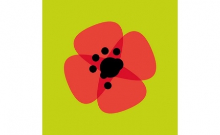 Autárquicas: Candidata do Livre a Faro defende maior articulação entre autarquia e Fagar 