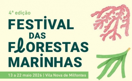 VILA NOVA DE MILFONTES RECEBE 4ª EDIÇÃO DO FESTIVAL DAS FLORESTAS MARINHAS
