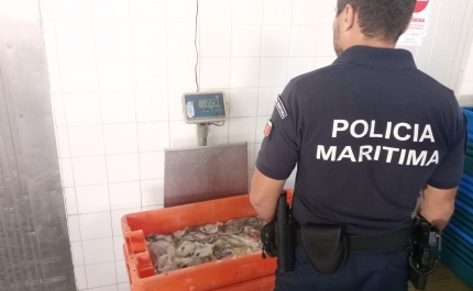 Polícia Marítima apreende 30kg de pescado em Santa Luzia em Tavira