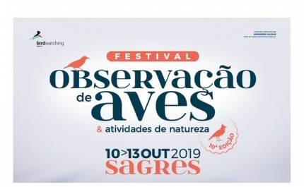 O festival de observação de aves está aí à porta