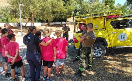 56 JOVENS VIGIARAM ÁREA FLORESTAL DO CONCELHO DE LOULÉ