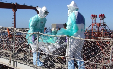 Porto de Sines palco de exercício para testar a resposta a um caso suspeito de ébola