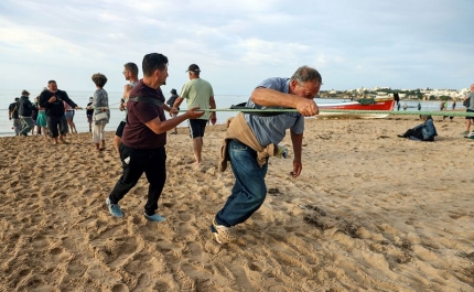 Arte Xávega da Meia Praia ganhou nova vida