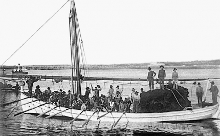 Exposição na Praça Teixeira Gomes propõe um passeio pela história da pesca em Portimão 