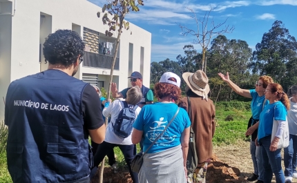 Lagos assinalou Semana Verde e da Água com reforço do arvoredo urbano