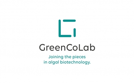 Laboratório Colaborativo dedicado ao setor das algas vai recuperar e instalar-se em anteriores instalações laboratoriais na CCDR ALGARVE | Agricultura e Pescas