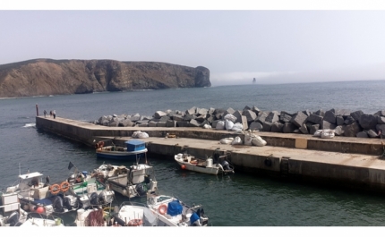 Pescadores do Alentejo exigem levantamento da proibição da pesca do lagostim