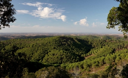 PRÉMIO NACIONAL DE PAISAGEM 2020 