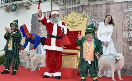 CONCELHO DE LOULÉ VIVE NATAL COM MUITA ANIMAÇÃO, TRADIÇÃO E SUSTENTABILIDADE